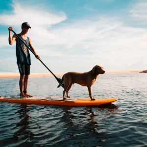 Paddle Boards & Kayaks · Trail 01